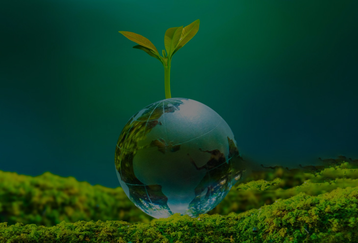 Environmental Protection